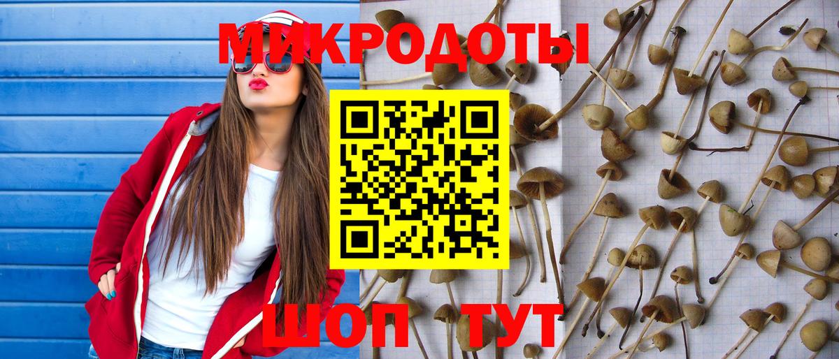 Шарыпово  Псилоцибиновые грибы MAGIC MUSHROOMS  Вход с VPN 
